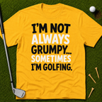 I'm Not Always Grumpy... T-Shirt